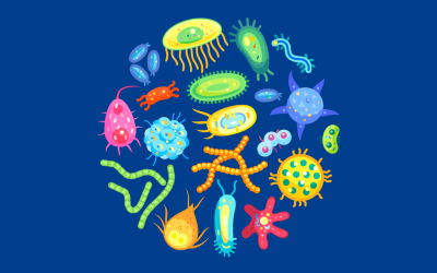 Expert Talk: Emerging infectious diseases at the animal-human interface