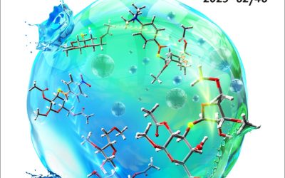 Diversification of a Novel α-Galactosyl Ceramide Hotspot Boosts the Adjuvant Properties in Parenteral and Mucosal Vaccines