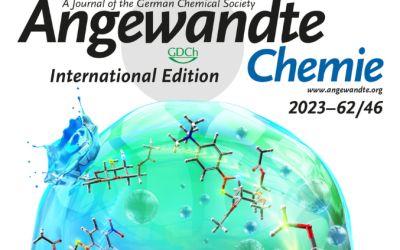 New Paper Published on Angewandte Chemie