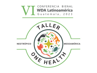 International Workshop in Guatemala within the VI WDA Latin America Conference framework