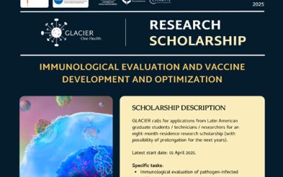 Call for Applications: Research Scholarship – Immunological Evaluation and Vaccine Development and Optimization