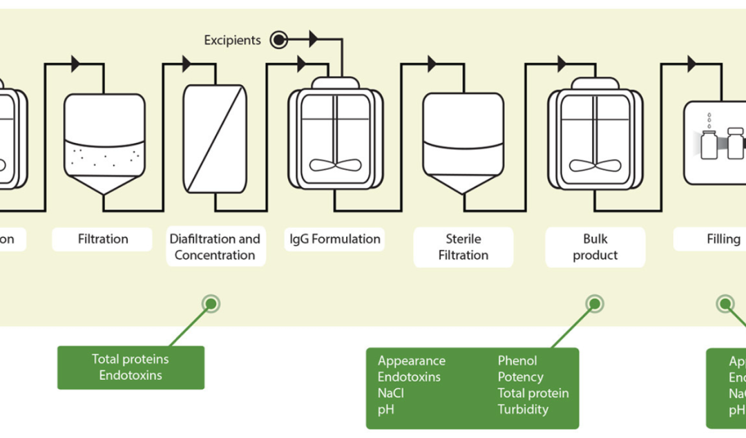 Heterologous Hyperimmune Polyclonal Antibodies Against SARS-CoV-2: A Broad Coverage, Affordable, and Scalable Potential Immunotherapy for COVID-19