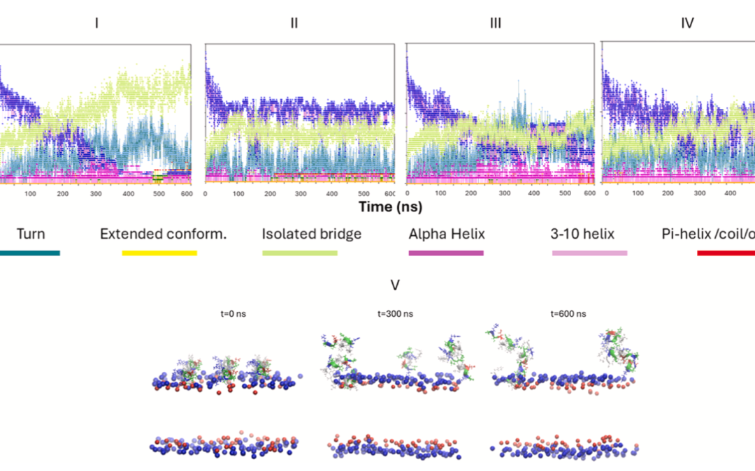 Cm-p5, a molluscan-derived antifungal peptide exerts its activity by a membrane surface covering in a non-penetrating mode