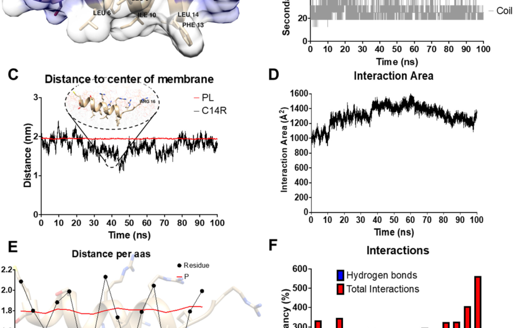 The Designed Pore-Forming Antimicrobial Peptide C14R Combines Excellent Activity against the Major Opportunistic Human Pathogen Pseudomonas aeruginosa with Low Cytotoxicity