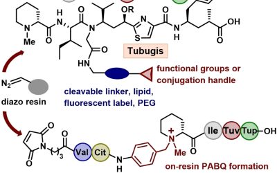 Improved Access to Potent Anticancer Tubulysins and Linker-Functionalized Payloads Via an All-On-Resin Strategy