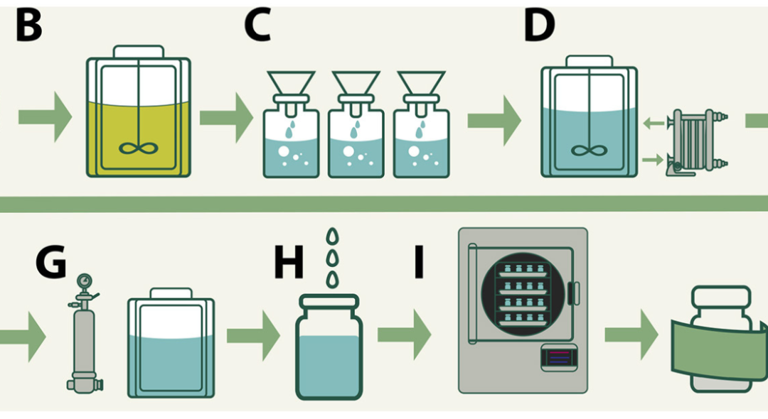 In vitro Characterization of Anti-SARS-CoV-2 Intravenous Immunoglobulins (IVIg) Produced From Plasma of Donors Immunized With the BNT162b2 Vaccine and Its Comparison With a Similar Formulation Produced From Plasma of COVID-19 Convalescent Donors
