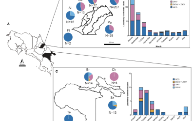 Epidemiological, virological and clinical characterization of a Dengue/Zika outbreak in the Caribbean region of Costa Rica 2017–2018