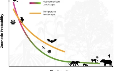One Health in Mesoamerica: historical legacies, current challenges, and strategic directions