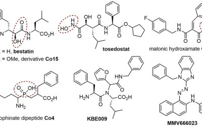 Synthesis and Evaluation of Peptoid-Based Compound Libraries as Inhibitors of Parasite Metallo-Aminopeptidases