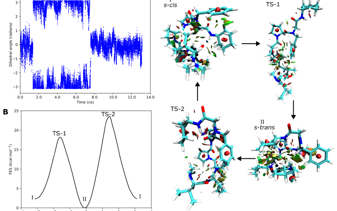 Impact of C-Terminal Amide N-Derivatization on the Conformational Dynamics and Antimitotic Activity of Cemadotin Analogues